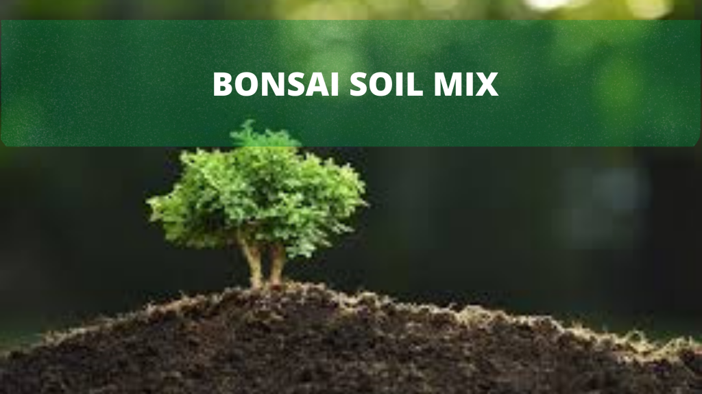 bonsai soil mix