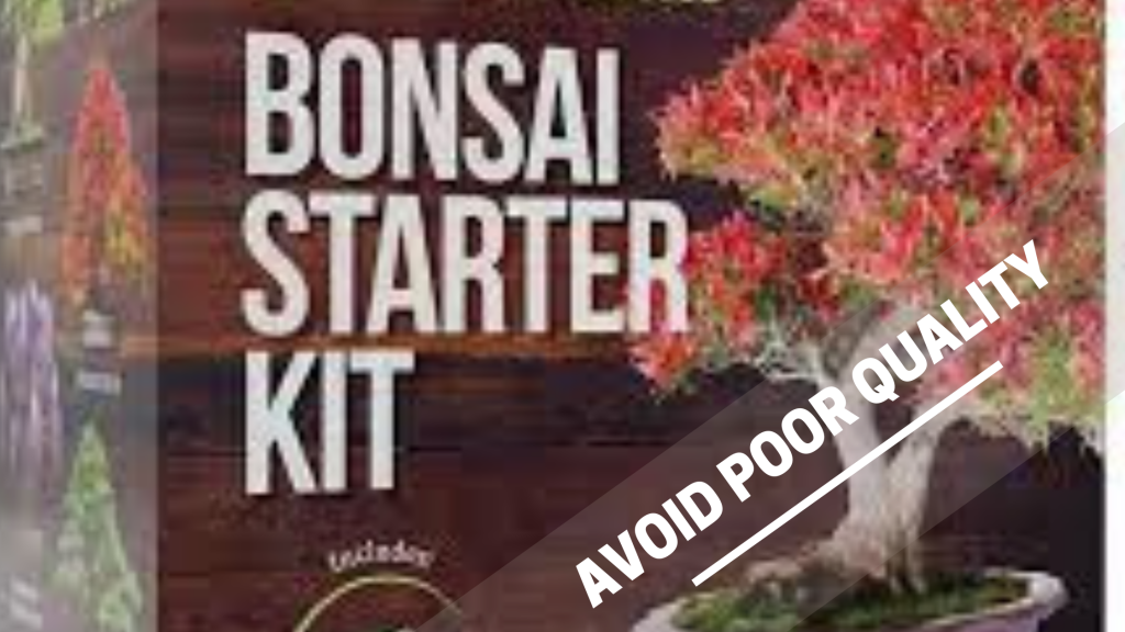 bonsai starter kit