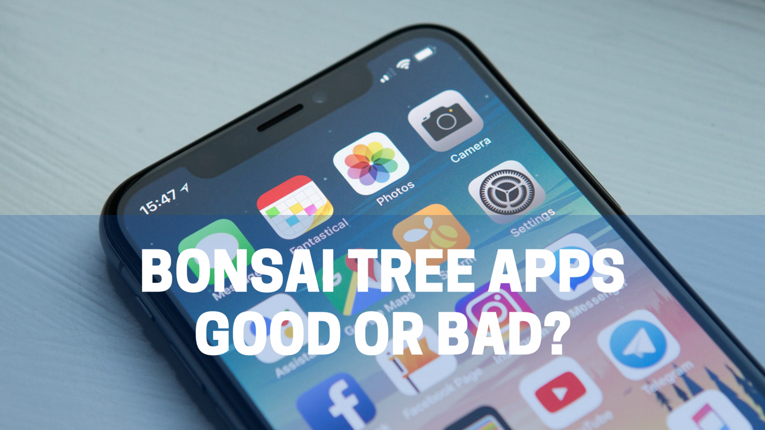 Bonsai Tree Apps The Bonsai Master