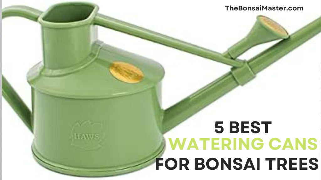 5 best watering cans