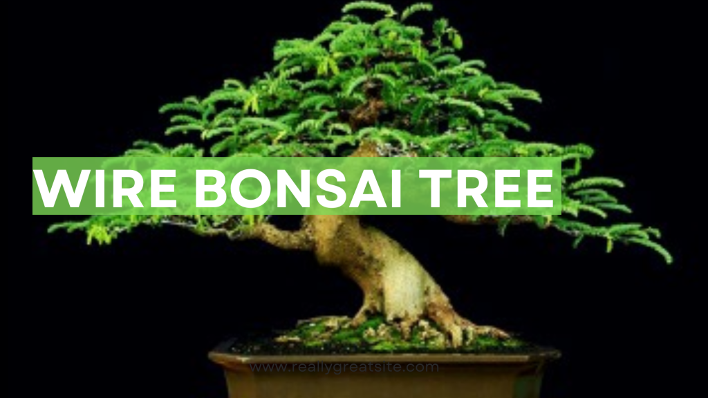 wire bonsai tree
