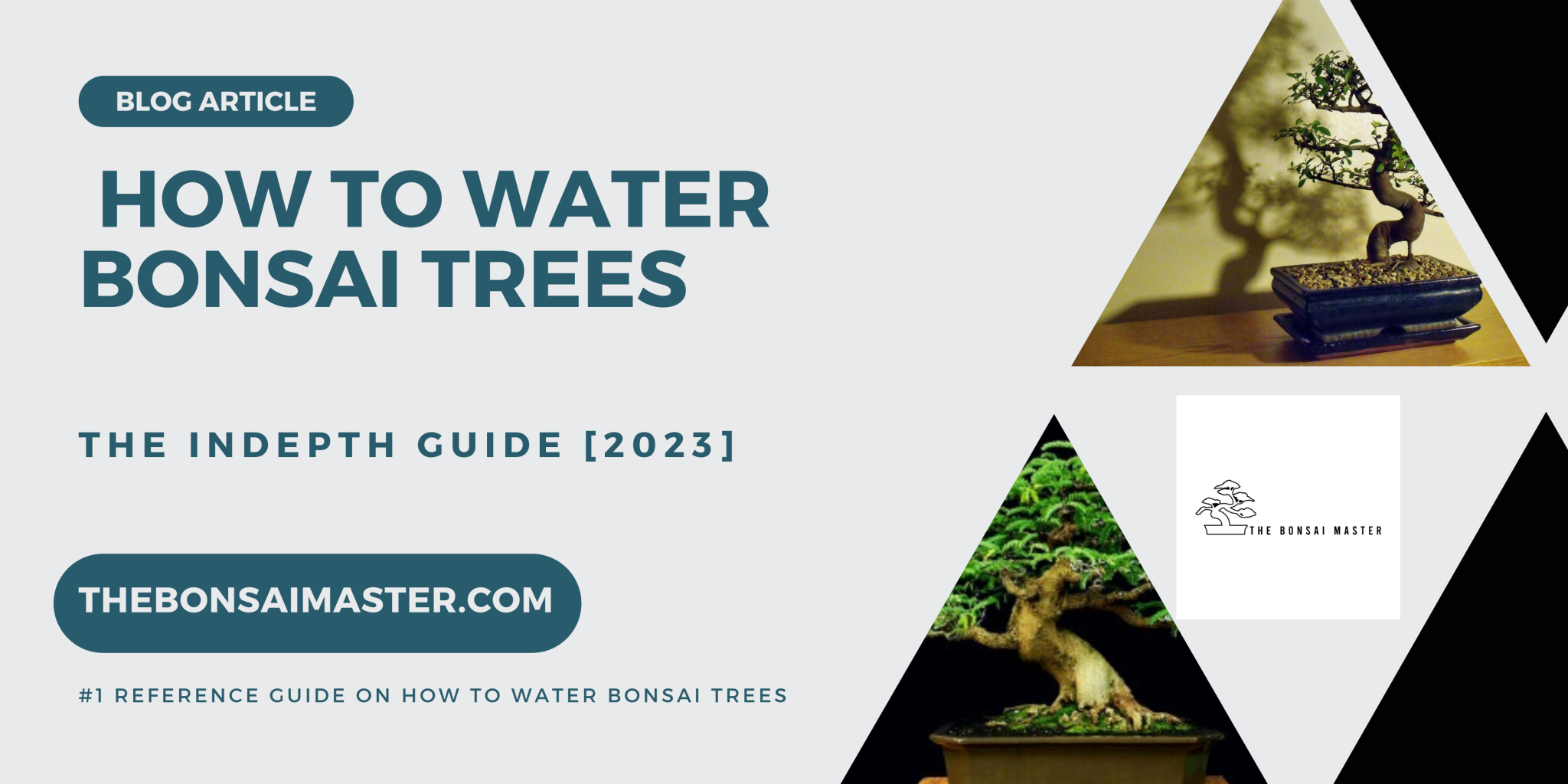 How To Water Bonsai Trees The Bonsai Master