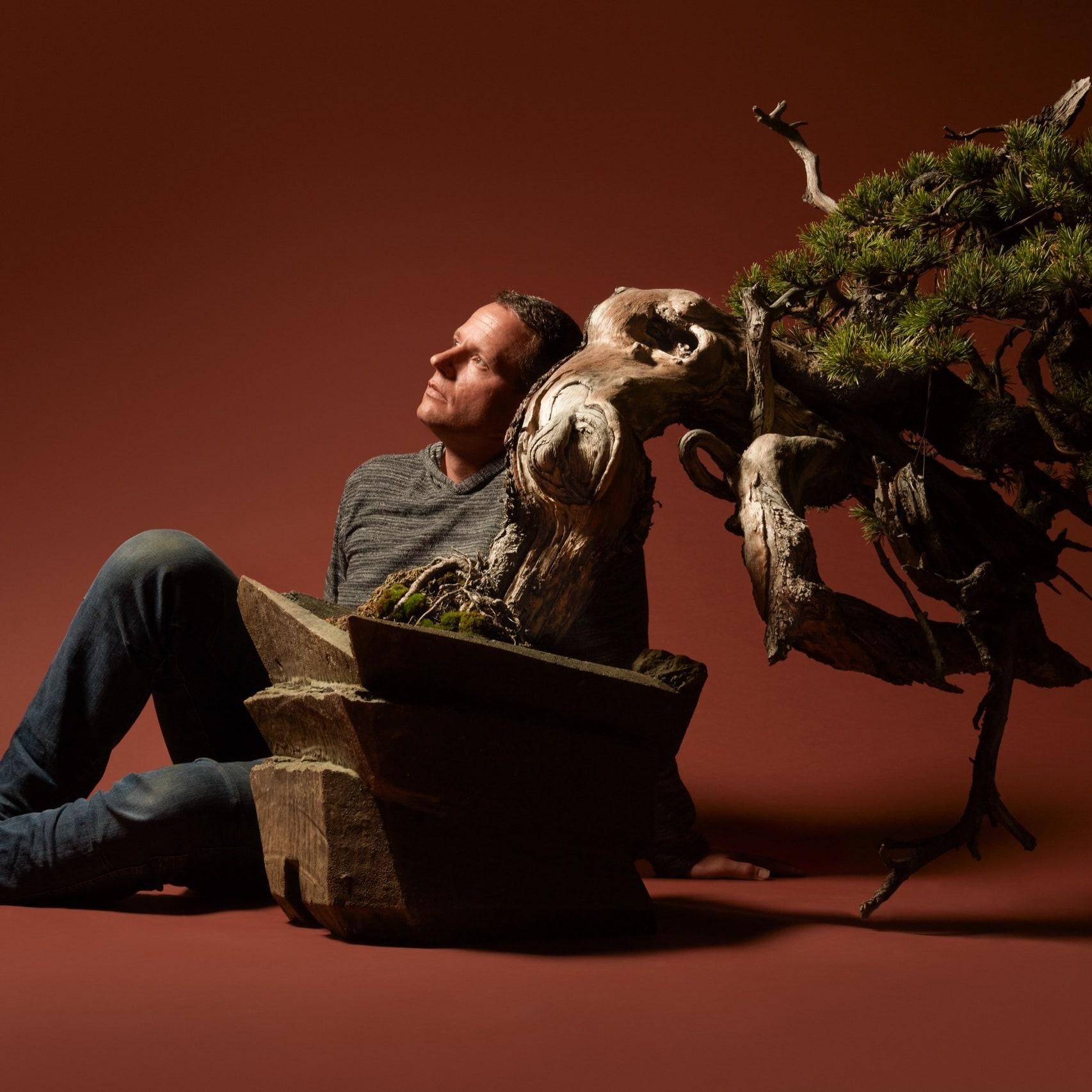 Best Bonsai Tree Root Pruning Care Guide